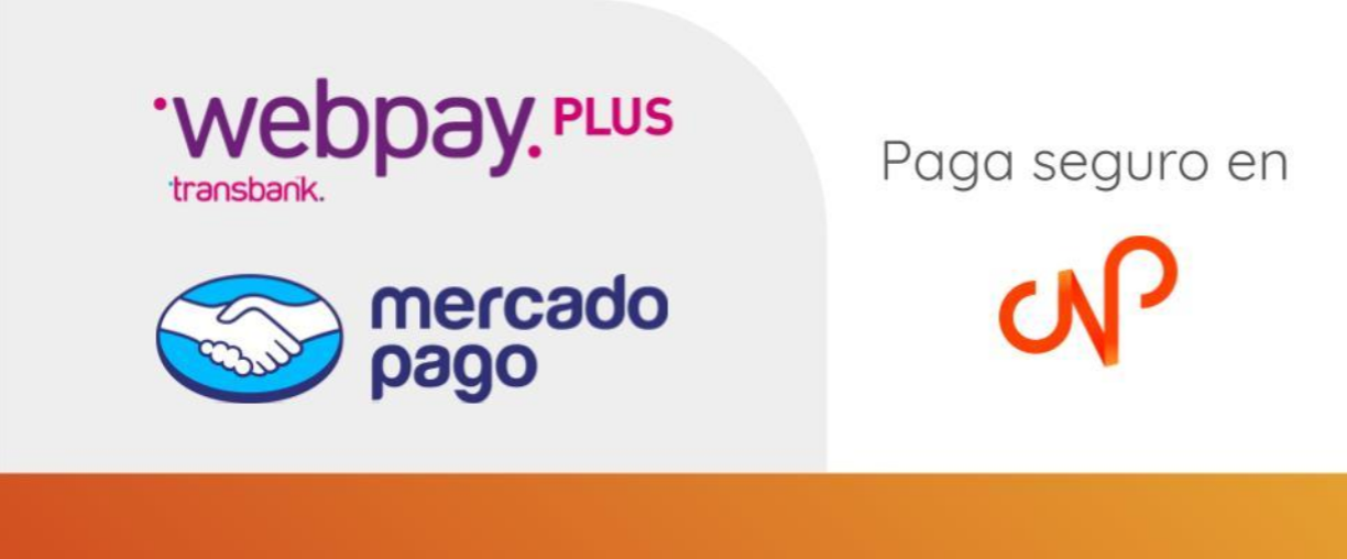 Paga seguro